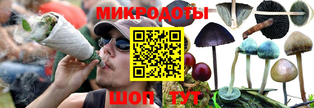 Галлюциногенные грибы прущие грибы  где найти   Светлоград  Вход с VPN 