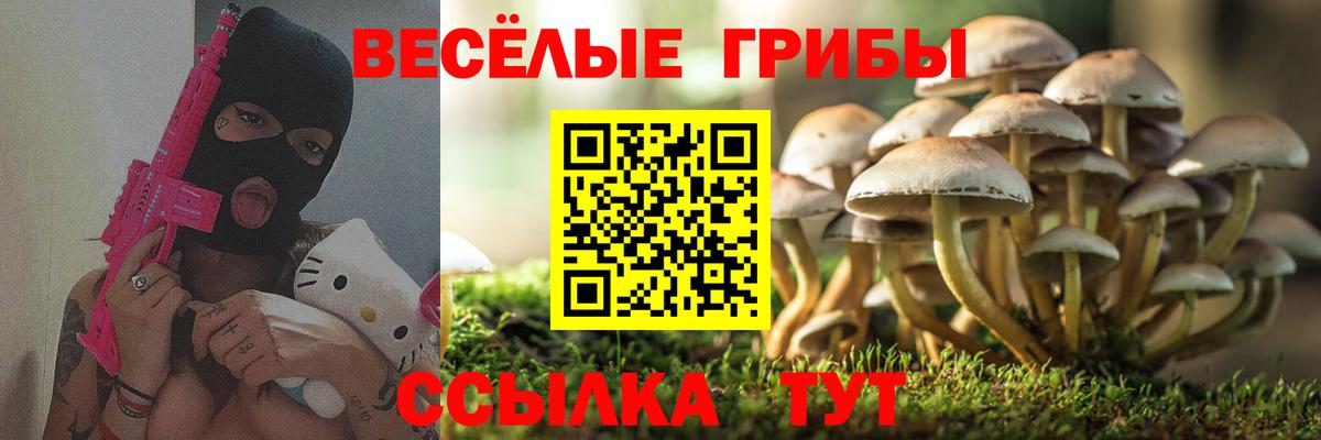 Галлюциногенные грибы MAGIC MUSHROOMS Светлоград